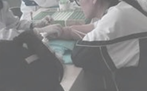 ���ڳ�Ѫ������