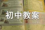 word初中教案5篇