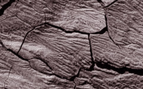 ����ɺ��ֺ���Ӧ��Ԥ��