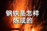 《钢铁是怎样炼成的》初三学生读后感800字
