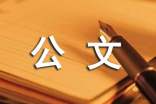 《公文写作》