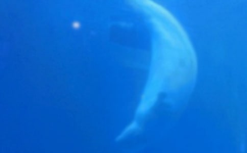 ��д���������600��