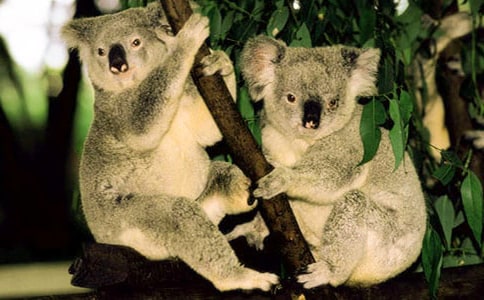 ��ѡ��������300��24ƪ