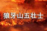 狼牙山五壮士读后感