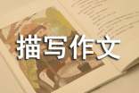 场面描写作文【荐】