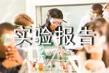 word实验报告(通用10篇)