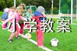 爱护眼睛小学教案(通用14篇)