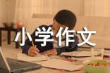 热爱劳动小学作文