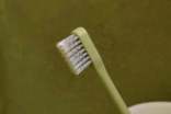 牙刷与牙膏的故事