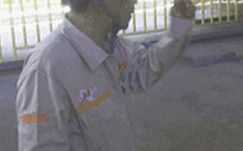 ��ȫԱ������ȹ����ܽ�9ƪ