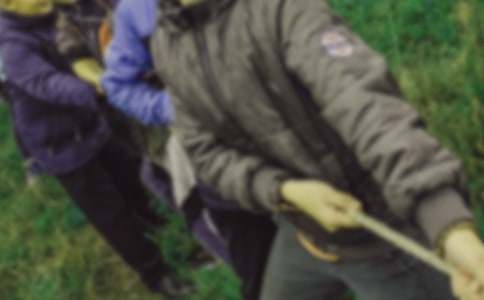 ���Ƽ����κӱ�����ܽ�