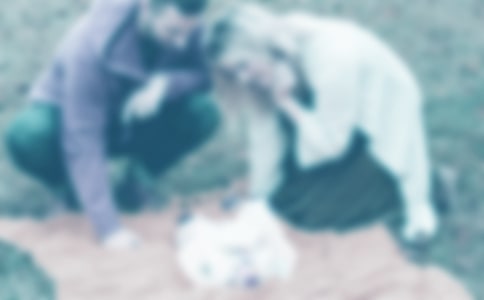 [��]�Ұ��ְ���������15ƪ