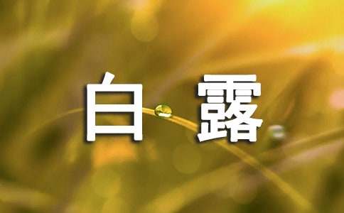白露祝福问候语(合集)