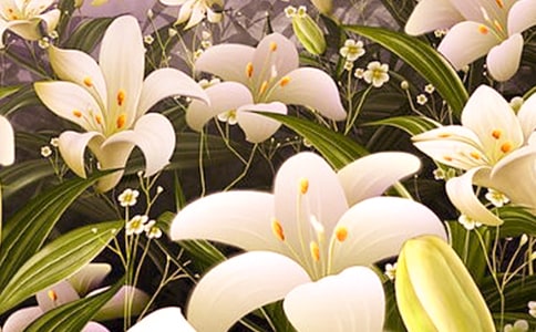 �����ϵİٺϻ�������