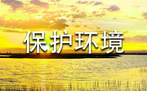 ���鱣�������Ľ�����(��)