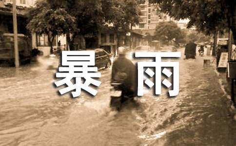 暴雨应急措施预案