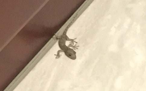 С�ڻ����ģ�ͨ��38ƪ��