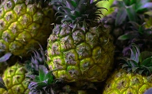 �Բ�������300��8ƪ