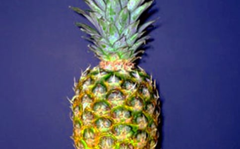 ��ѡ�Բ�������300����ƪ