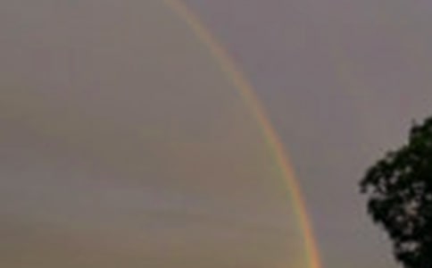 雨后彩虹写景作文