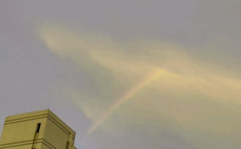 ��ѡ���Ĳʺ�����600����ƪ