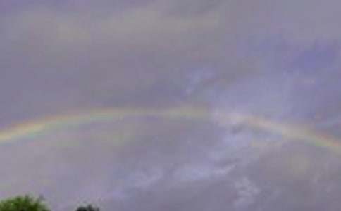 ���ʺ������