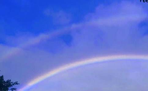 ���Ĳʺ�����600�֣�ͨ��65ƪ��