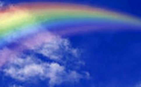 ���ʺ�����600��10ƪ