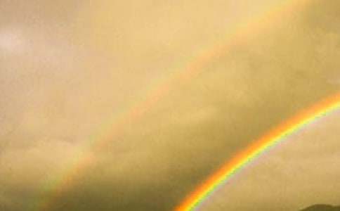 雨后彩虹作文600字