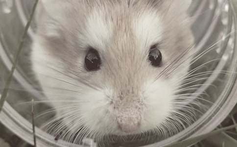 �ҵĲ�������