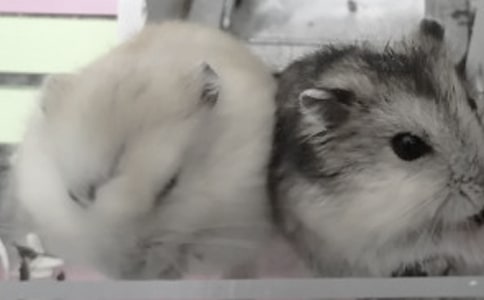 ���š���д���������600��