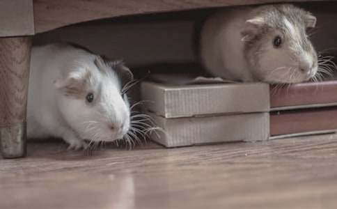 ʵ�õĲ�����Ȥ��������ƪ