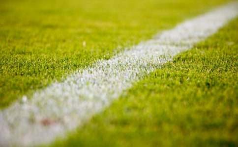 校园一角操场作文