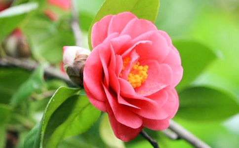 ��д�軨��л�ľ���