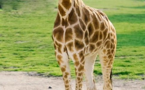 ������д����¹�ľ���