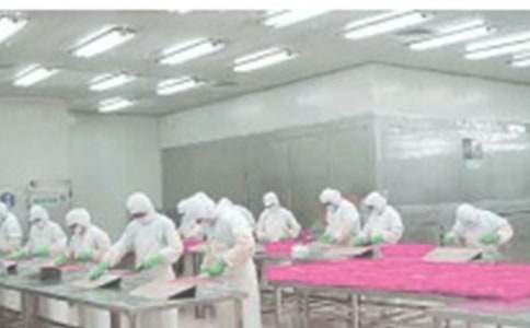 (��ѡ)�����������չ����ܽ�15ƪ