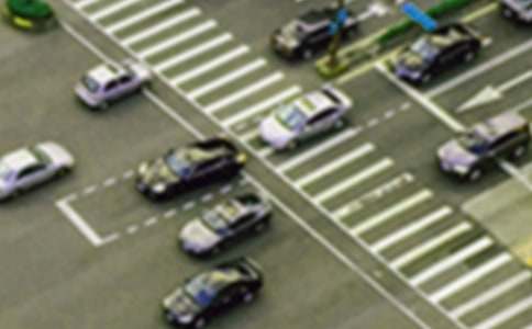 ��������Ȩ֤��