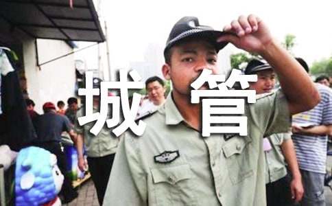 城管工作半年度工作总结