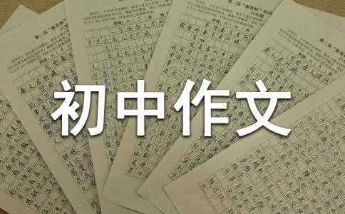 初中作文300字四篇