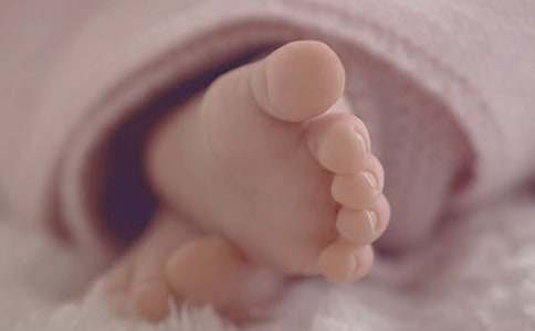 出生补办申请书