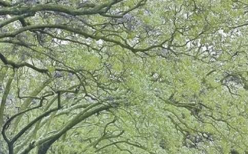 ���������ж������ܽ�