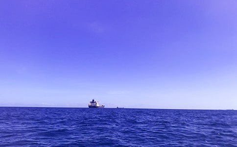 关于我爱大海五年级作文合集七篇