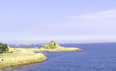 �����Ұ������꼶����300�ֻ��7ƪ