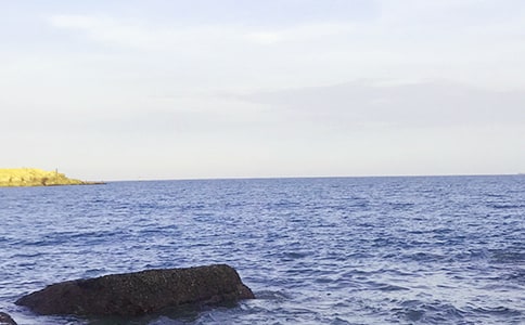 �����Ұ������꼶���Ļ���8ƪ