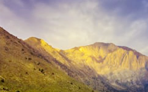 ���ڴ�ɽ������