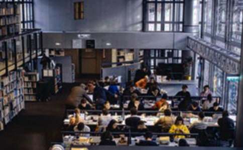 大学生村官个人工作总结13篇