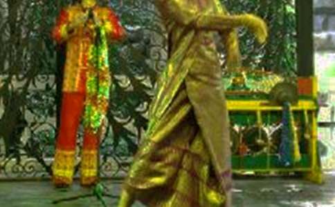 ���ϴ���԰���δ�