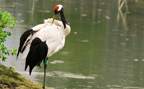 ����ѡ������������600��15ƪ