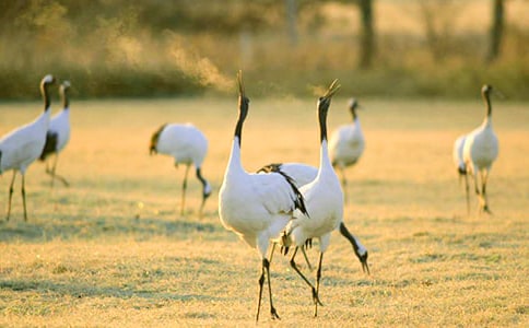 ����������600�֣���ѡ��