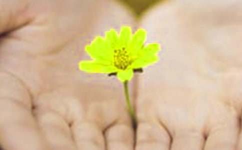 ���˵�Ǹ��11ƪ����Ʒ��